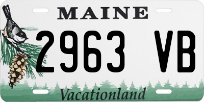 ME license plate 2963VB