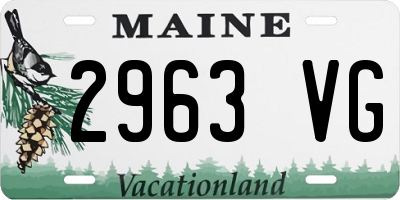 ME license plate 2963VG