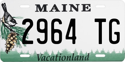 ME license plate 2964TG