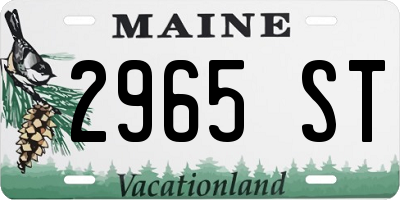 ME license plate 2965ST