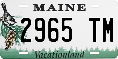 ME license plate 2965TM
