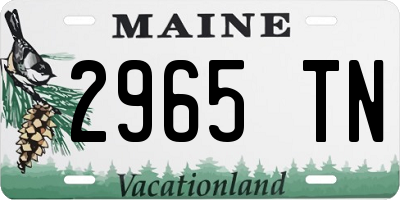 ME license plate 2965TN