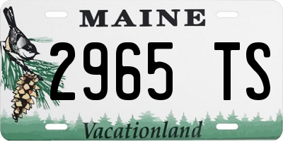 ME license plate 2965TS
