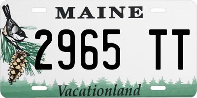 ME license plate 2965TT