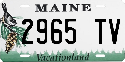 ME license plate 2965TV
