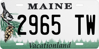 ME license plate 2965TW