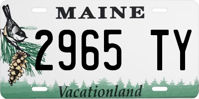 ME license plate 2965TY