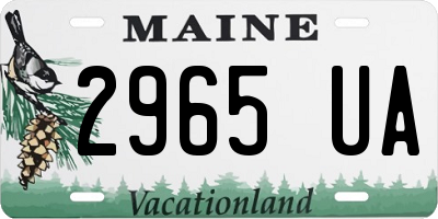ME license plate 2965UA