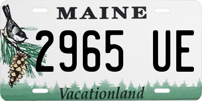 ME license plate 2965UE