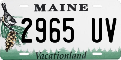 ME license plate 2965UV