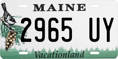 ME license plate 2965UY