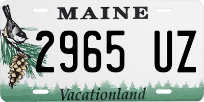 ME license plate 2965UZ