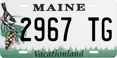 ME license plate 2967TG