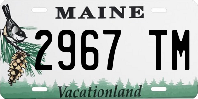 ME license plate 2967TM