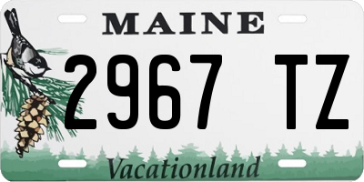ME license plate 2967TZ
