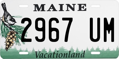 ME license plate 2967UM