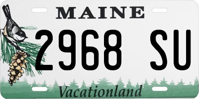 ME license plate 2968SU