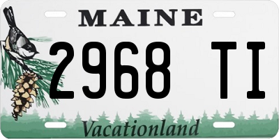 ME license plate 2968TI