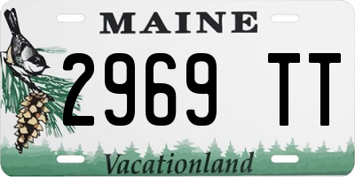 ME license plate 2969TT
