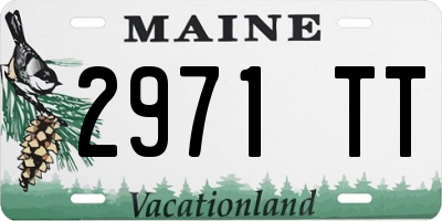 ME license plate 2971TT