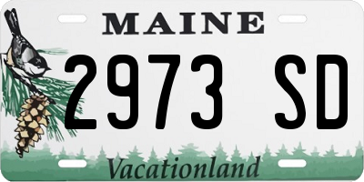 ME license plate 2973SD