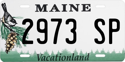 ME license plate 2973SP