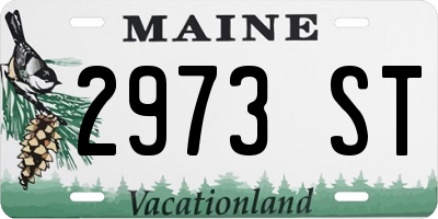 ME license plate 2973ST