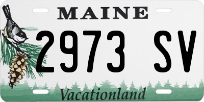 ME license plate 2973SV