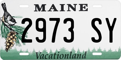 ME license plate 2973SY