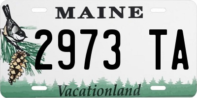 ME license plate 2973TA