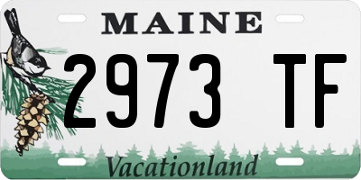 ME license plate 2973TF