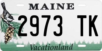 ME license plate 2973TK