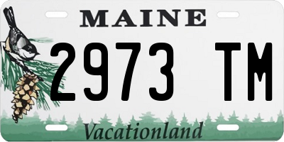 ME license plate 2973TM