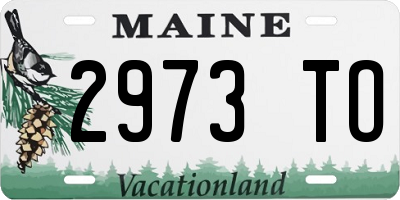 ME license plate 2973TO