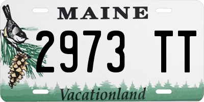 ME license plate 2973TT
