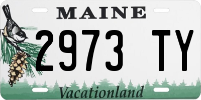 ME license plate 2973TY