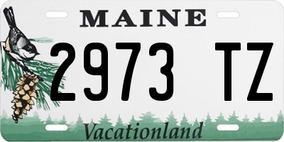 ME license plate 2973TZ