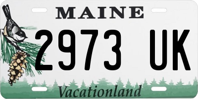 ME license plate 2973UK