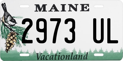 ME license plate 2973UL