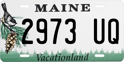 ME license plate 2973UQ