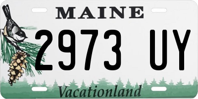 ME license plate 2973UY