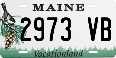 ME license plate 2973VB