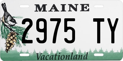 ME license plate 2975TY