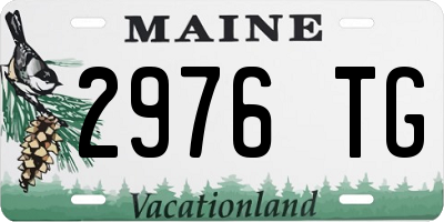ME license plate 2976TG
