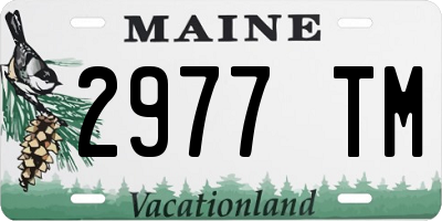 ME license plate 2977TM