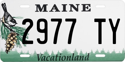 ME license plate 2977TY