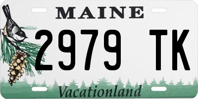 ME license plate 2979TK