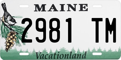 ME license plate 2981TM