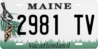 ME license plate 2981TV