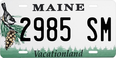 ME license plate 2985SM